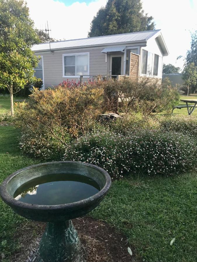 Orange Blossom- Comboyne Mountain Cottages Exterior foto